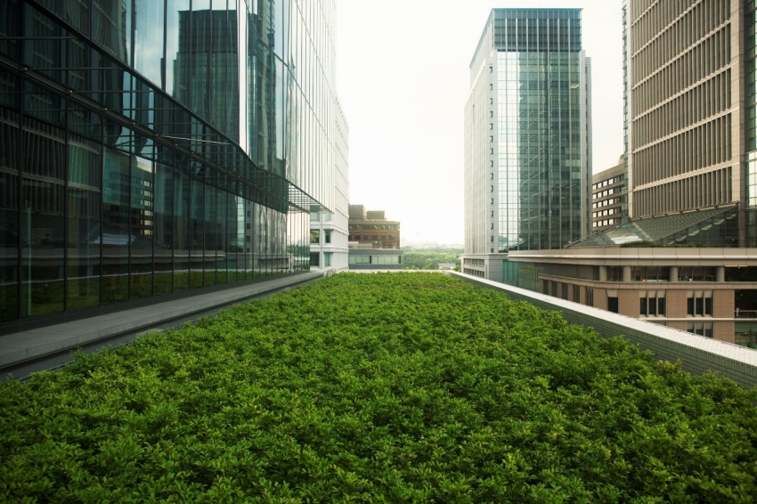 Balancing planet and profit during market volatility